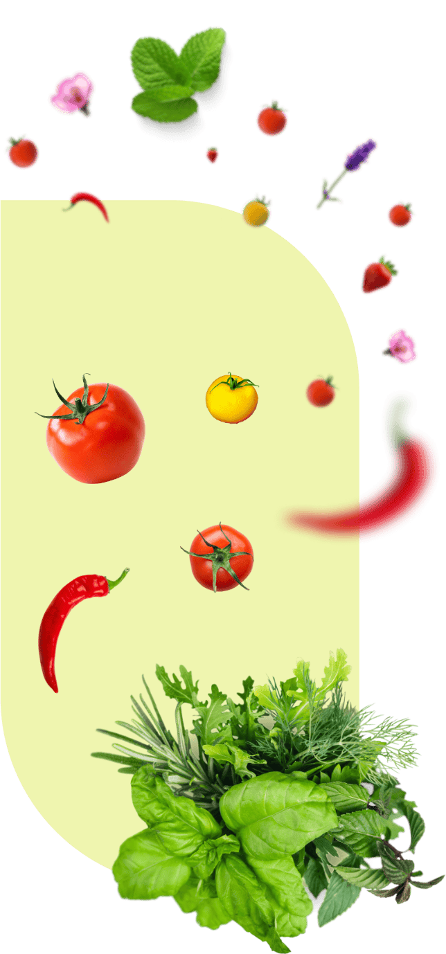 App screen